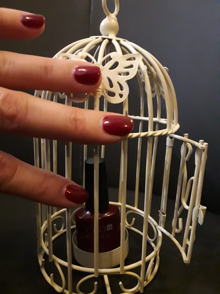 16388210 1684580491839533 7585517685293696868 n